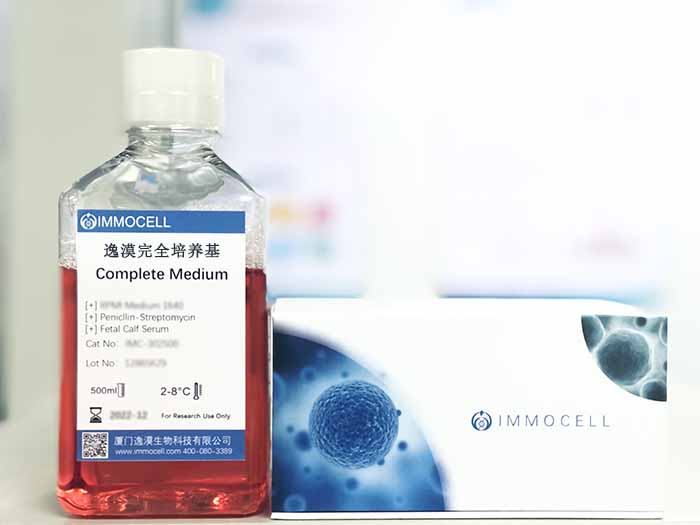 AN3CA细胞专用培养基